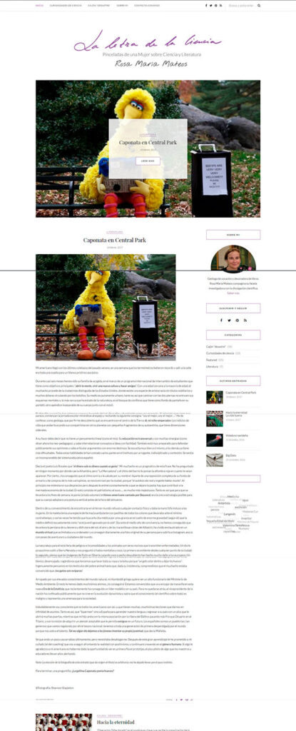 Ejemplo de artículo sin leer más en la pantalla de inicio de una web